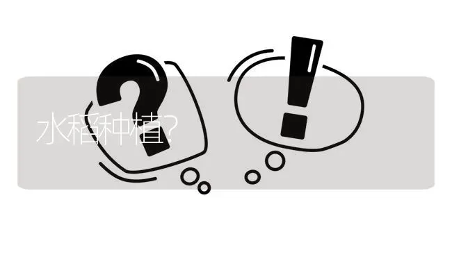 水稻种植? | 养殖问题解答