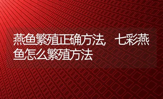 燕鱼繁殖正确方法,七彩燕鱼怎么繁殖方法 | 养殖常见问题