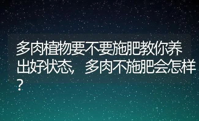 多肉植物要不要施肥教你养出好状态,多肉不施肥会怎样？ | 养殖常见问题