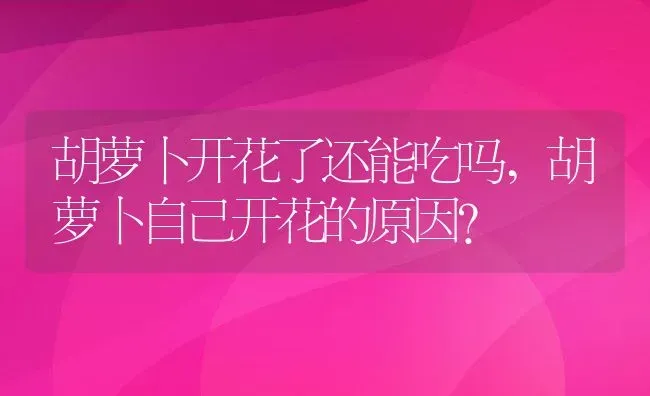 胡萝卜开花了还能吃吗,胡萝卜自己开花的原因？ | 养殖常见问题