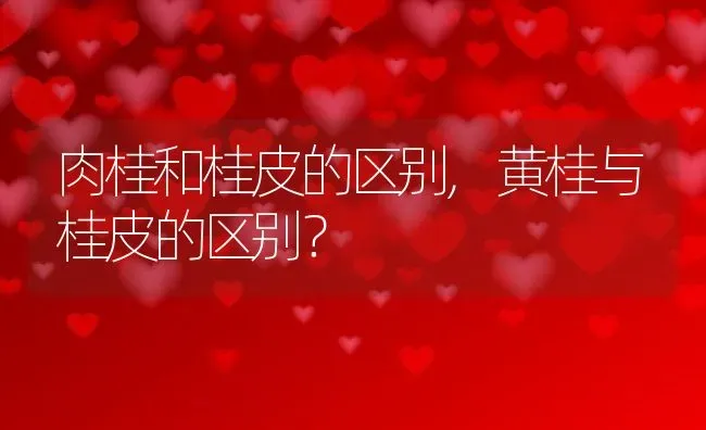 肉桂和桂皮的区别,黄桂与桂皮的区别？ | 养殖常见问题