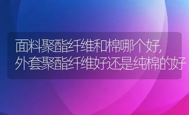 面料聚酯纤维和棉哪个好,外套聚酯纤维好还是纯棉的好 | 养殖常见问题