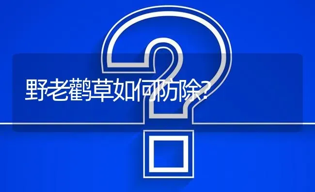 野老鹳草如何防除? | 养殖问题解答