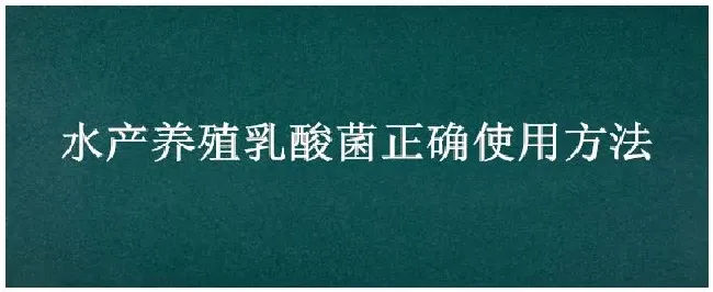 水产养殖乳酸菌正确使用方法 | 农业问题