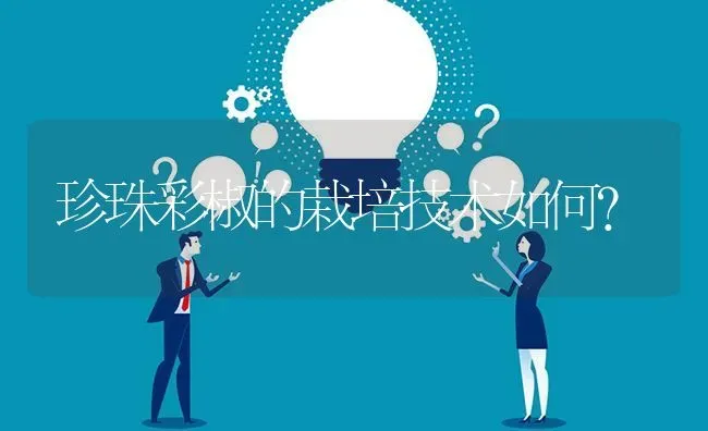 珍珠彩椒的栽培技术如何? | 养殖问题解答