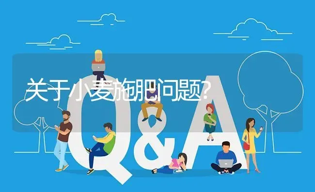 关于小麦施肥问题? | 养殖问题解答