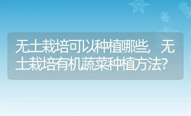 无土栽培可以种植哪些,无土栽培有机蔬菜种植方法？ | 养殖常见问题
