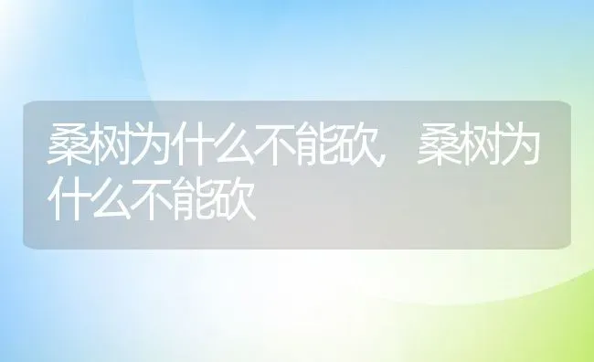 桑树为什么不能砍,桑树为什么不能砍 | 养殖常见问题