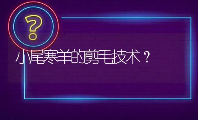 小尾寒羊的剪毛技术? | 养殖问题解答