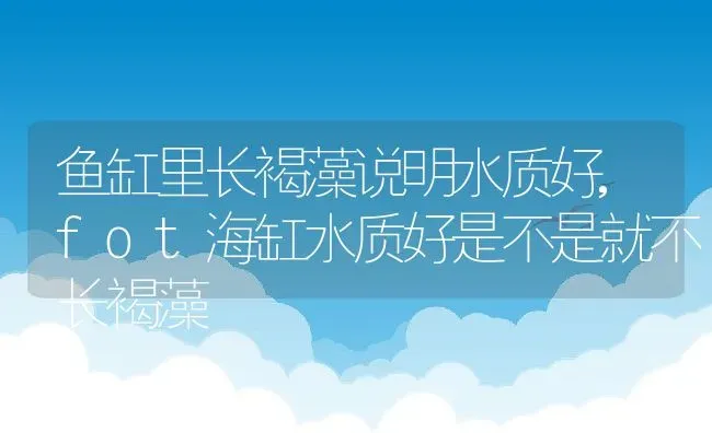 鱼缸里长褐藻说明水质好,fot海缸水质好是不是就不长褐藻 | 养殖常见问题