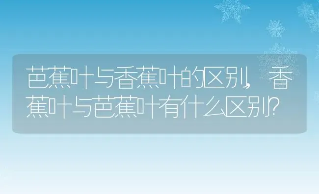 芭蕉叶与香蕉叶的区别,香蕉叶与芭蕉叶有什么区别？ | 养殖常见问题