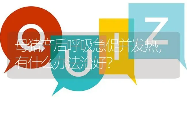 母猪产后呼吸急促并发热,有什么办法治好? | 养殖问题解答
