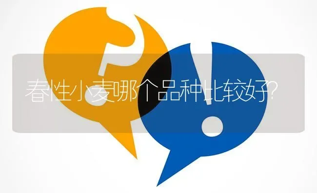 春性小麦哪个品种比较好? | 养殖问题解答