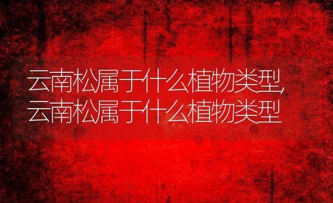 云南松属于什么植物类型,云南松属于什么植物类型 | 养殖常见问题