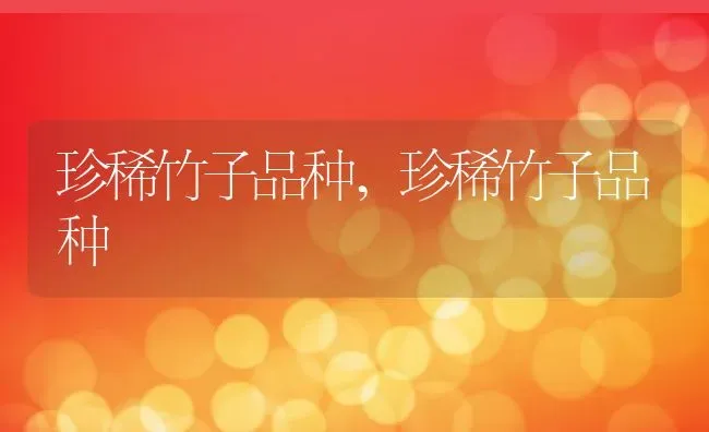 珍稀竹子品种,珍稀竹子品种 | 养殖常见问题