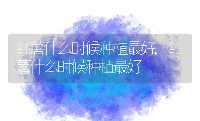 红薯什么时候种植最好,红薯什么时候种植最好 | 养殖常见问题