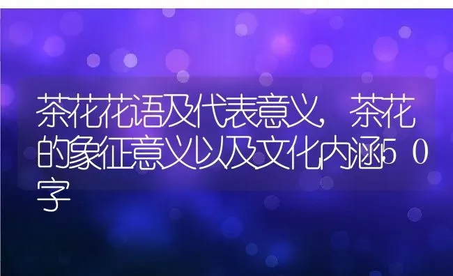 茶花花语及代表意义,茶花的象征意义以及文化内涵50字 | 养殖常见问题