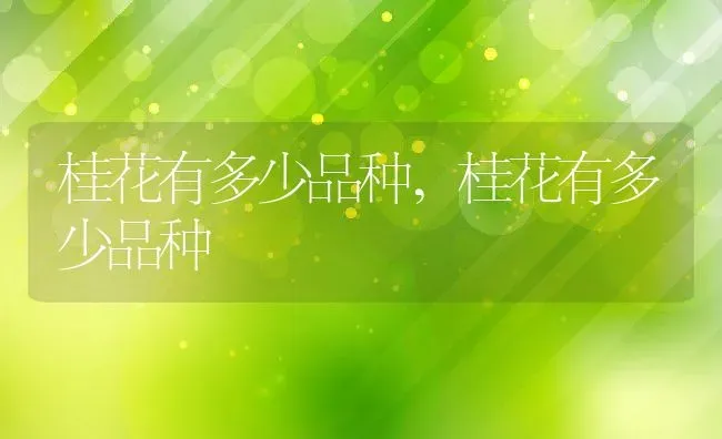桂花有多少品种,桂花有多少品种 | 养殖常见问题