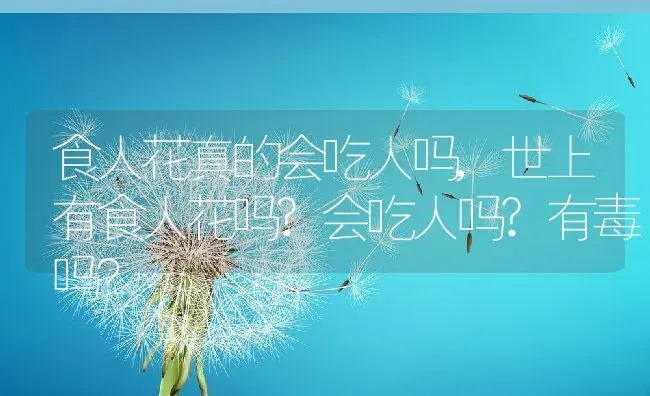 食人花真的会吃人吗,世上有食人花吗?会吃人吗?有毒吗？ | 养殖常见问题