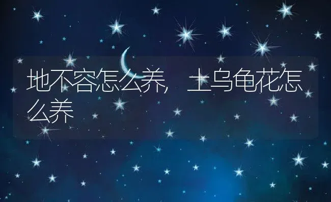 地不容怎么养,土乌龟花怎么养 | 养殖常见问题