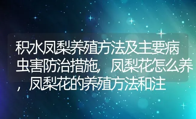 杜鹃花属于什么植物类型,杜鹃花是多年生植物吗？ | 养殖常见问题