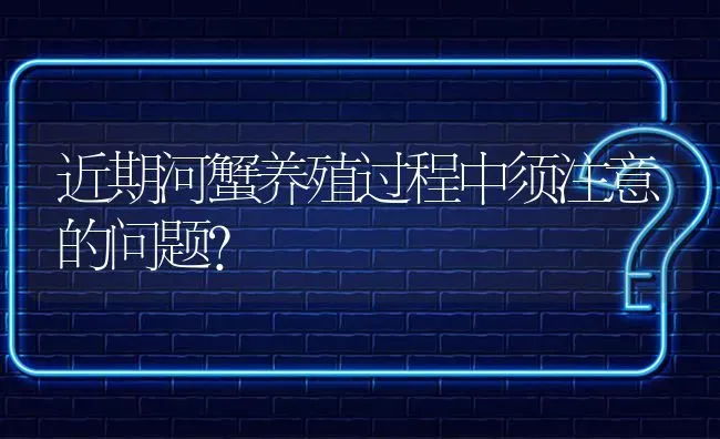 近期河蟹养殖过程中须注意的问题? | 养殖问题解答