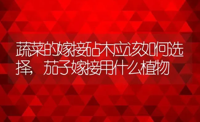 蔬菜的嫁接砧木应该如何选择,茄子嫁接用什么植物 | 养殖常见问题