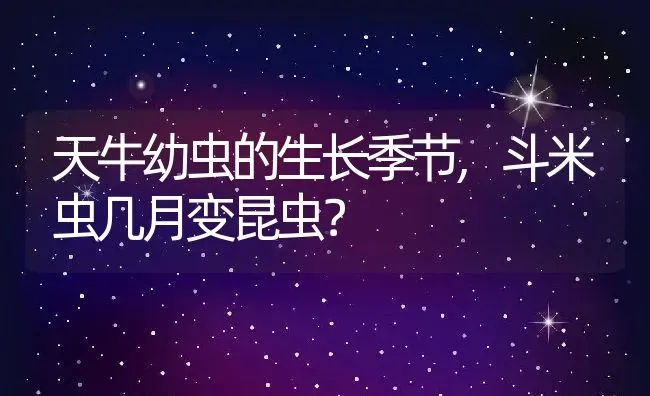 天牛幼虫的生长季节,斗米虫几月变昆虫？ | 养殖常见问题