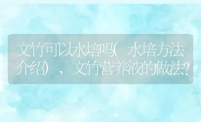 文竹可以水培吗(水培方法介绍),文竹营养液的做法？ | 养殖常见问题