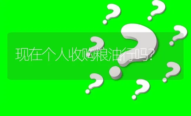 现在个人收购粮油行吗? | 养殖问题解答