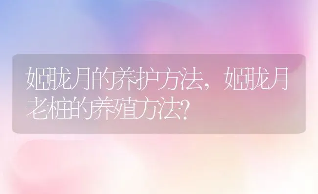 姬胧月的养护方法,姬胧月老桩的养殖方法？ | 养殖常见问题