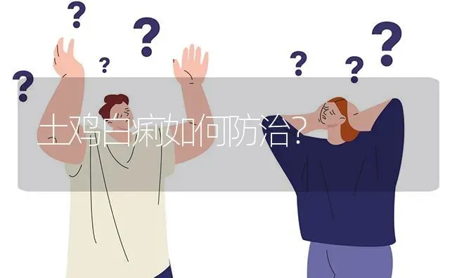 土鸡白痢如何防治? | 养殖问题解答