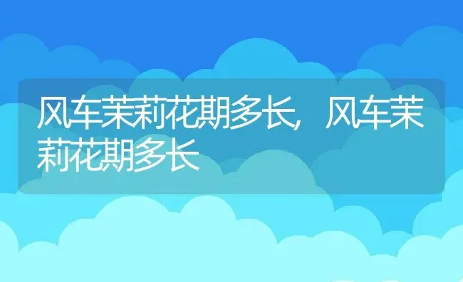 风车茉莉花期多长,风车茉莉花期多长 | 养殖常见问题
