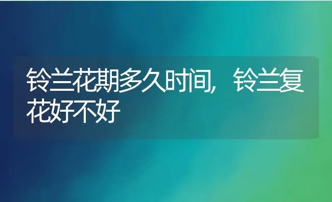 铃兰花期多久时间,铃兰复花好不好 | 养殖常见问题