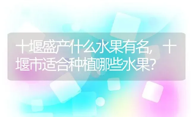 十堰盛产什么水果有名,十堰市适合种植哪些水果？ | 养殖常见问题