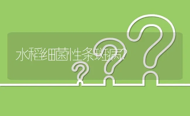 水稻细菌性条斑病? | 养殖问题解答