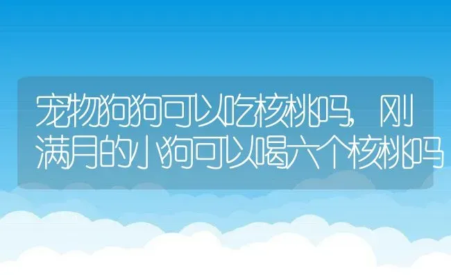 宠物狗狗可以吃核桃吗,刚满月的小狗可以喝六个核桃吗 | 养殖常见问题