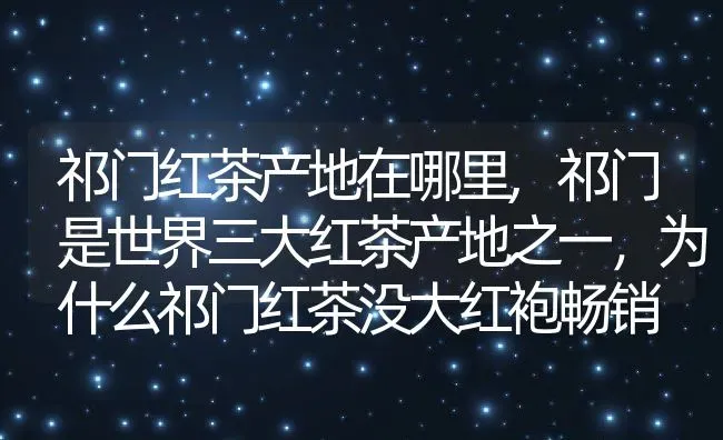 祁门红茶产地在哪里,祁门是世界三大红茶产地之一，为什么祁门红茶没大红袍畅销 | 养殖常见问题