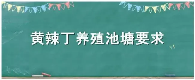 黄辣丁养殖池塘要求 | 农业问题