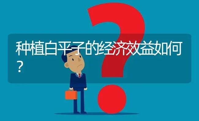 种植白平子的经济效益如何? | 养殖问题解答