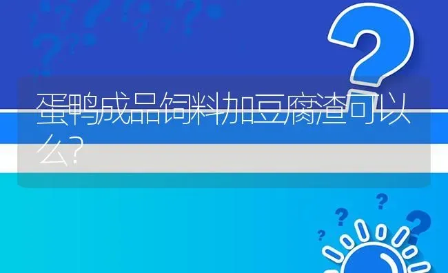 蛋鸭成品饲料加豆腐渣可以么? | 养殖问题解答