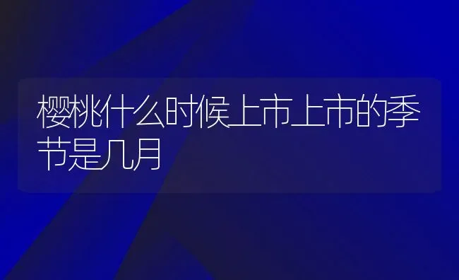 樱桃什么时候上市上市的季节是几月 | 养殖常见问题