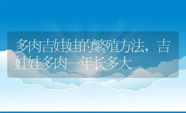 多肉吉娃娃的繁殖方法,吉娃娃多肉一年长多大 | 养殖常见问题