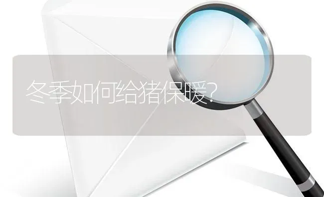 冬季如何给猪保暖? | 养殖问题解答