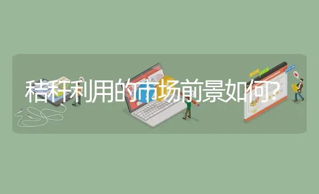 秸秆利用的市场前景如何? | 养殖问题解答