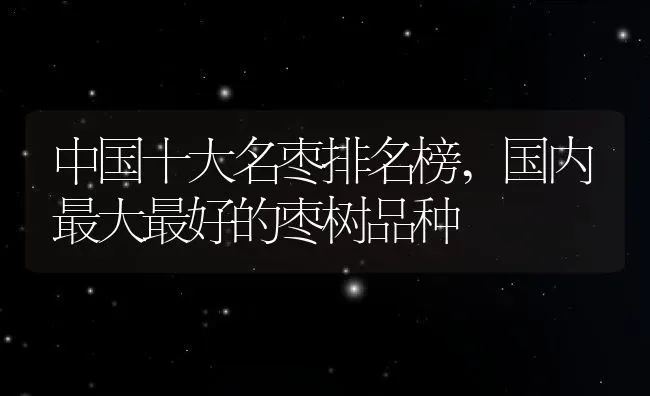 中国十大名枣排名榜,国内最大最好的枣树品种 | 养殖常见问题