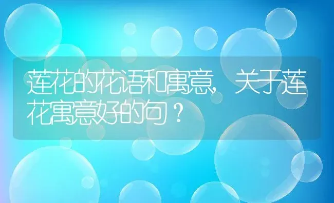 莲花的花语和寓意,关于莲花寓意好的句？ | 养殖常见问题