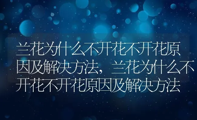 兰花为什么不开花不开花原因及解决方法,兰花为什么不开花不开花原因及解决方法 | 养殖常见问题