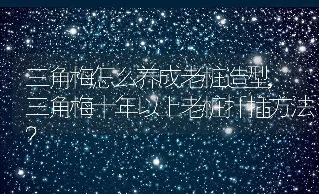 三角梅怎么养成老桩造型,三角梅十年以上老桩扦插方法？ | 养殖常见问题