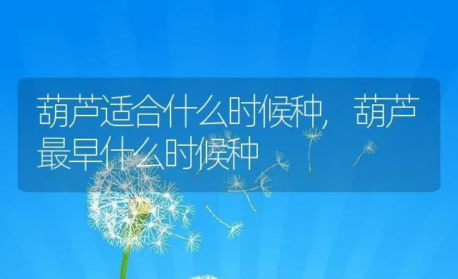 葫芦适合什么时候种,葫芦最早什么时候种 | 养殖常见问题